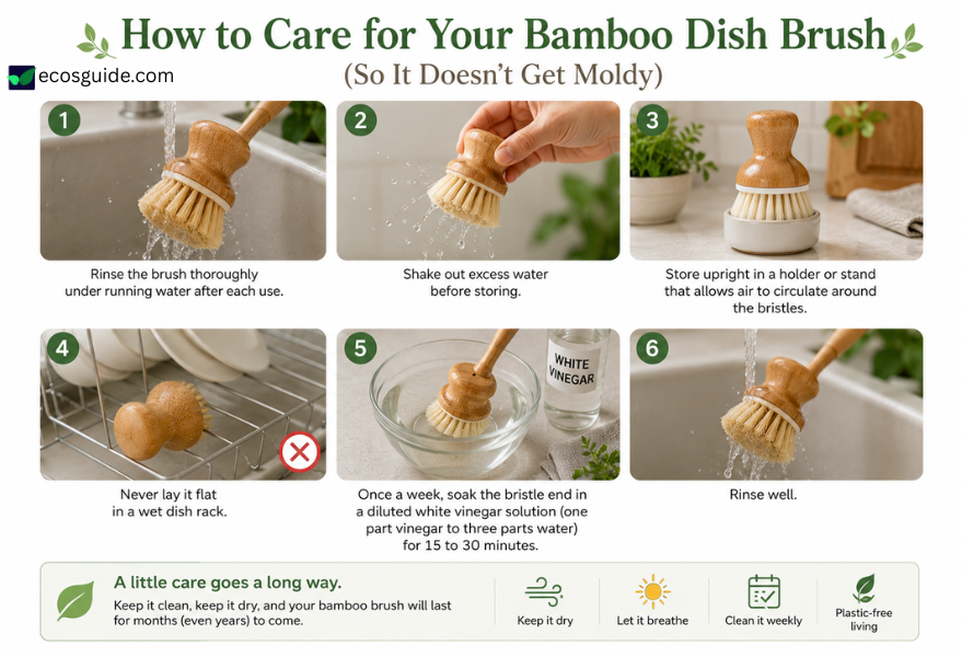 Infographic showing 6 steps to care for a bamboo dish brush and prevent mold, including rinsing, shaking, upright storage, and weekly vinegar soak