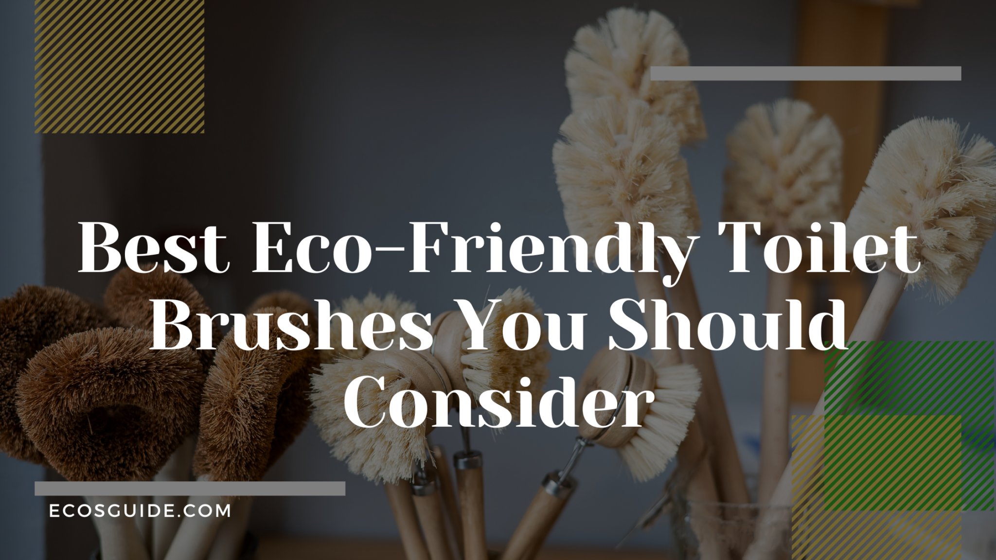 5 Best EcoFriendly Toilet Brushes You Should Consider 2024